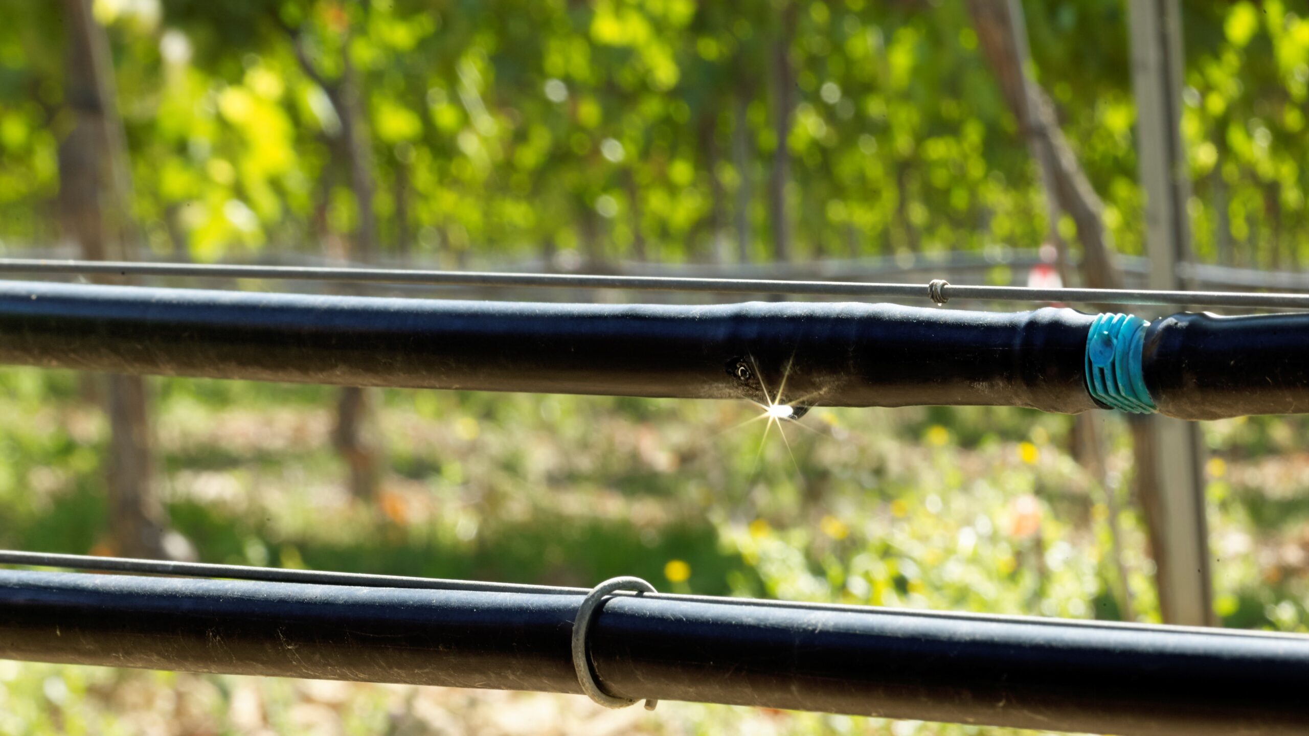 irta riego|irta riego